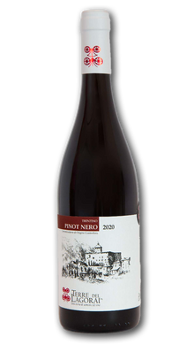 Pinot nero Trentino DOC 2022